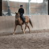 IMG_5928 IMG_5928