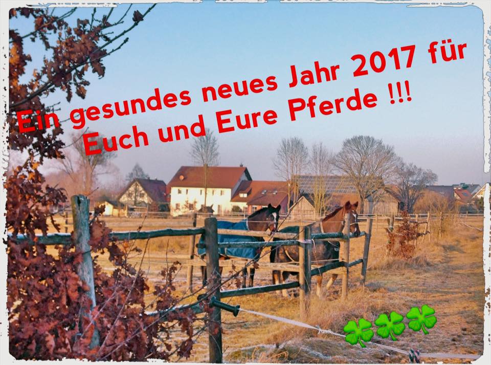 Ein gesundes neues Jahr 2017