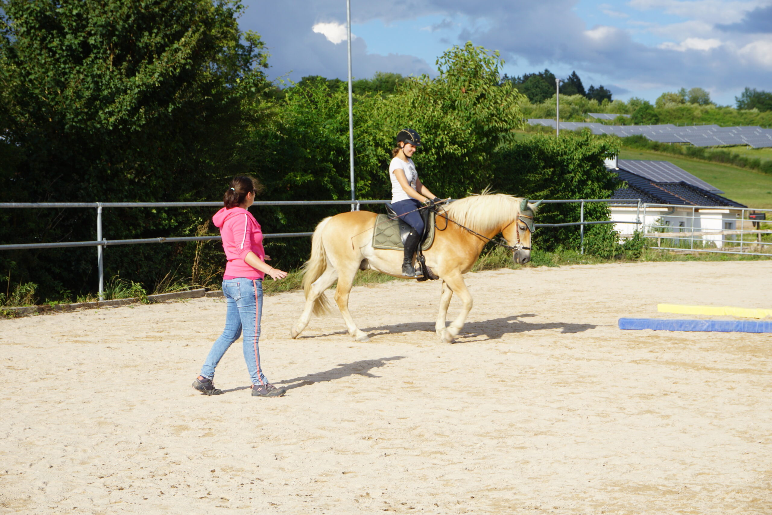 DSC00869 DSC00869
