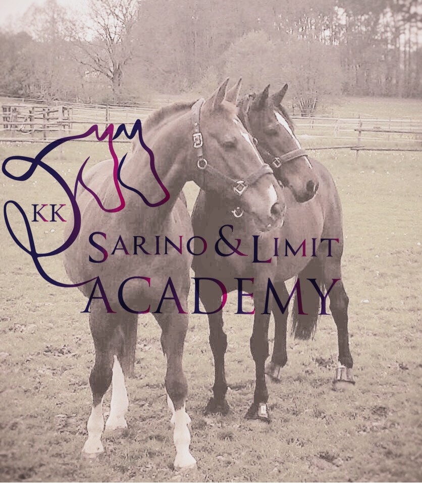 Sarino & Limit Academy