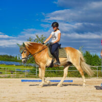 Karolin Köhler gebissloses Reiten Training