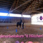 Bodenarbeitskurs “4 Hütchen” – VIP