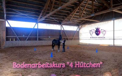 Bodenarbeitskurs “4 Hütchen” – VIP