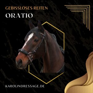 Karolin Köhler gebissloses Reiten Dressur