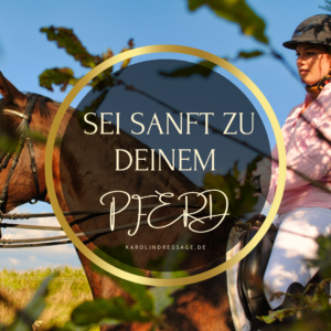 karolin köhler dressur online coaching
